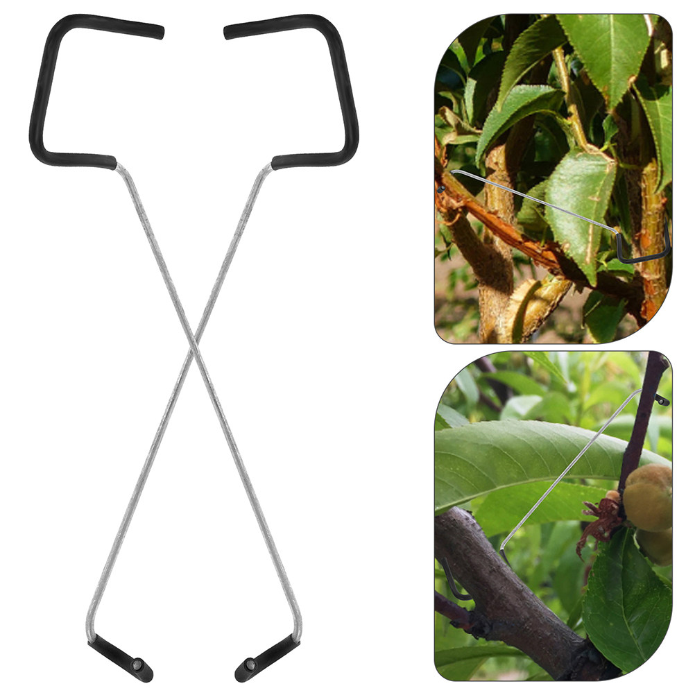 Bonsai Gardening - Bonsai Branch Trunk Trainer 10pcs Fruit