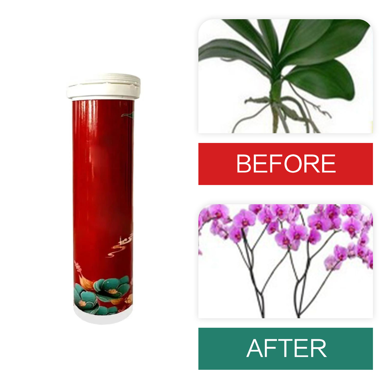 Bonsai Soil Akadama - Garden Universal Slow-Release Tablet Recovery Orchid
