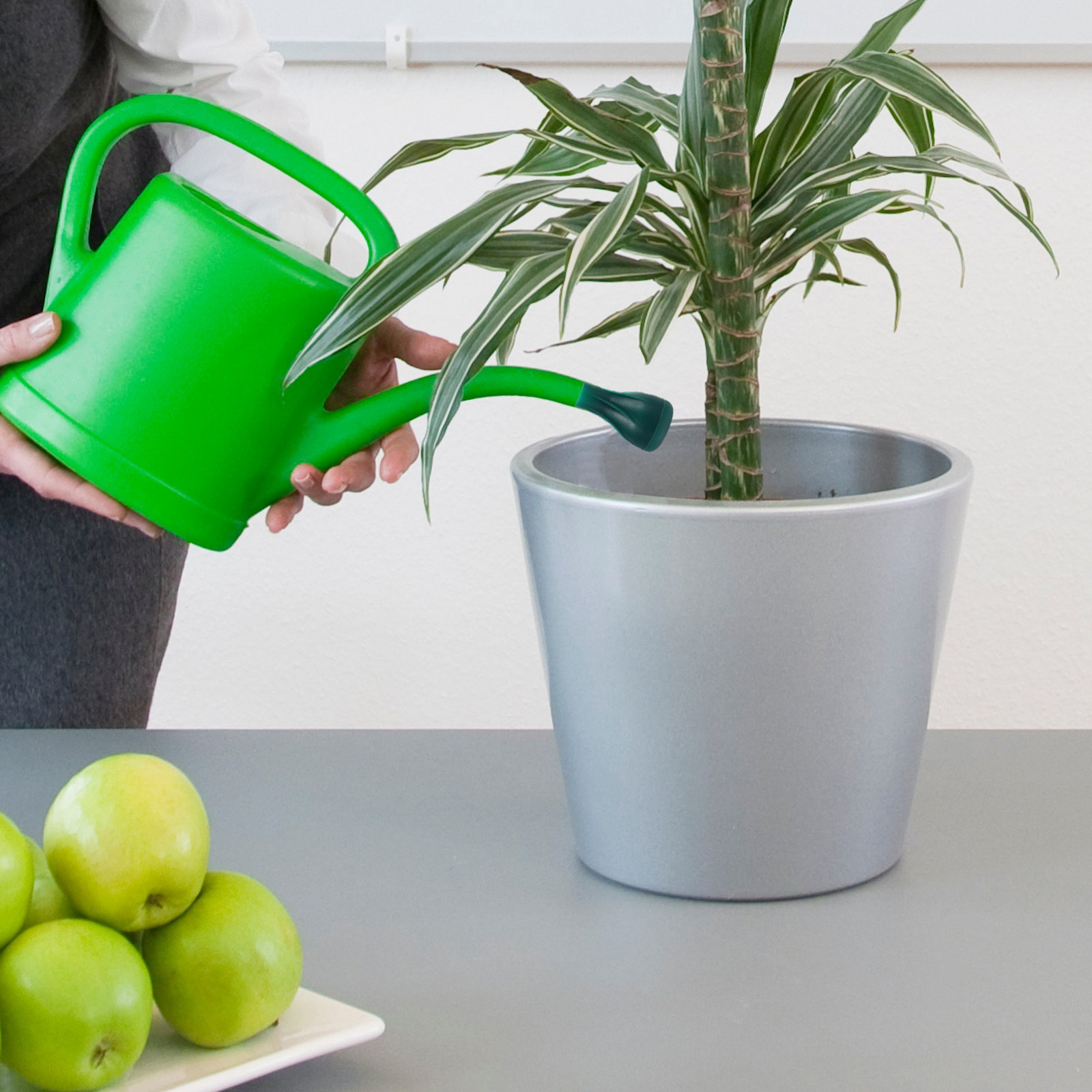 Water Can Sprinkler Head Compa - Bonsai Gardening 评论和价格