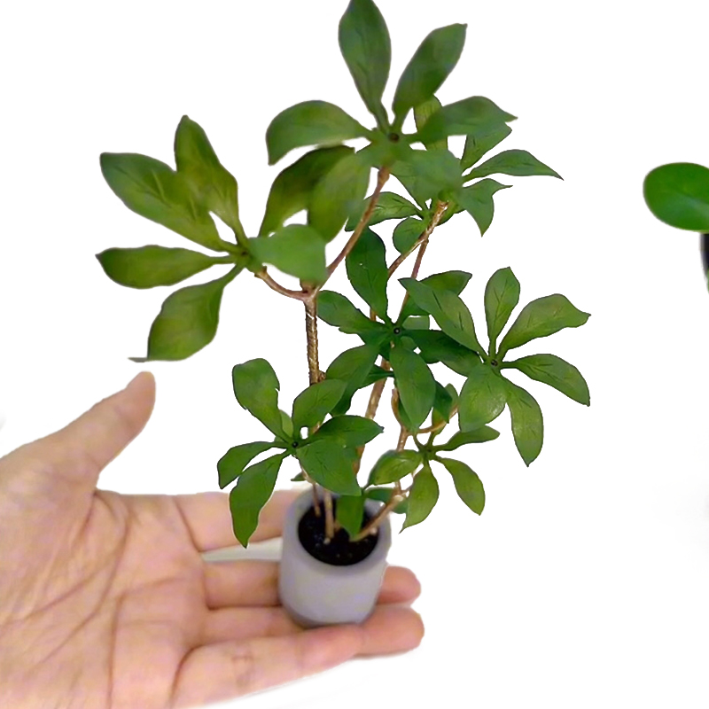 1:6 Dollhouse Miniature Potted - Bonsai Garden House 评论和价格