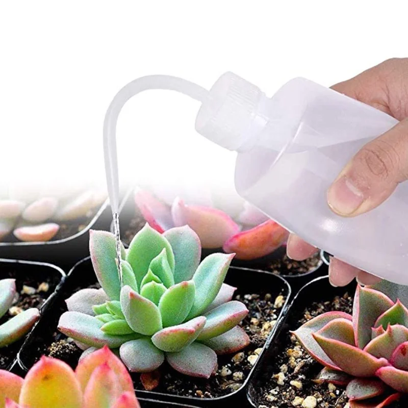 13Pcs Garden Planter Kit DIY S - Bonsai Garden Tools 评论和价格