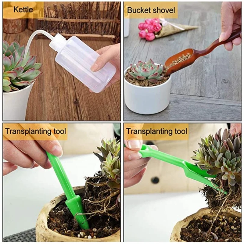 13Pcs Garden Planter Kit DIY S - Bonsai Garden Tools 评论和价格