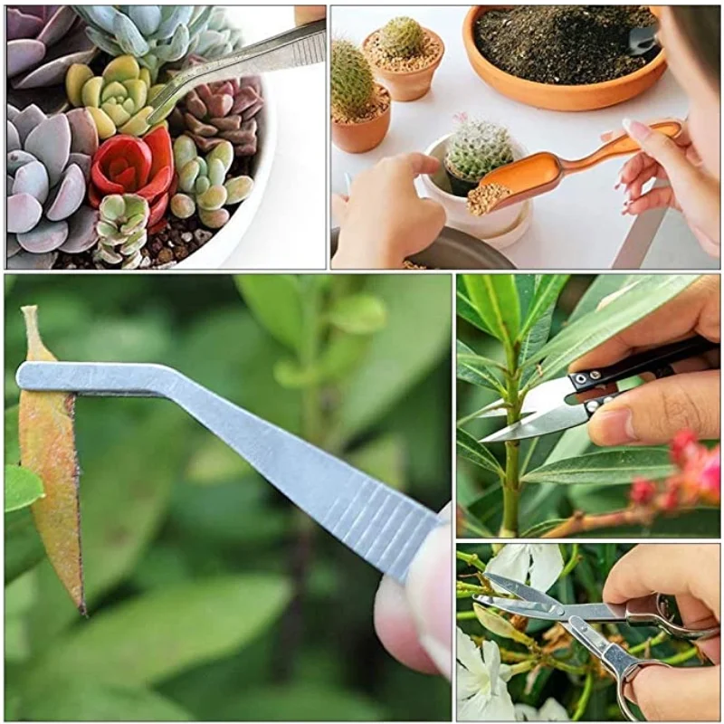 13Pcs Garden Planter Kit DIY S - Bonsai Garden Tools 评论和价格