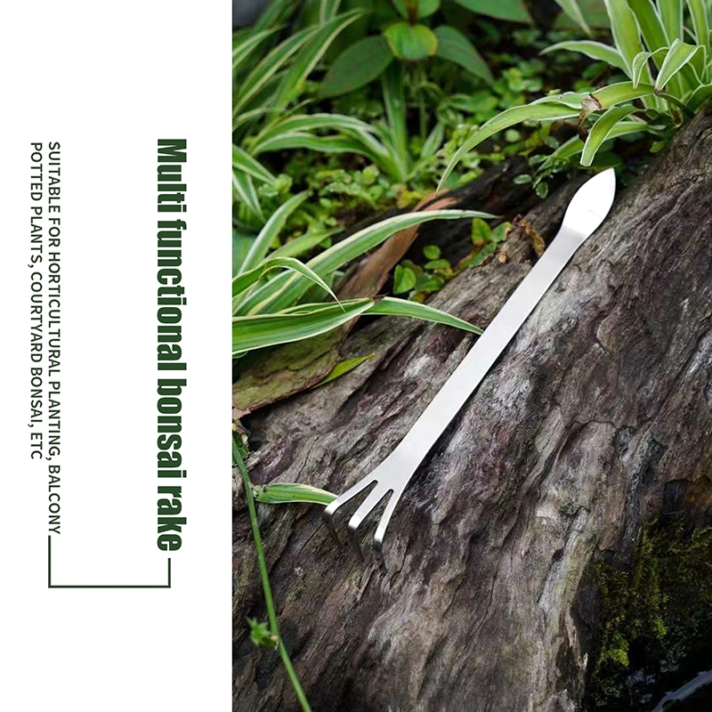1Pc Stainless Steel Root Rake  - Bonsai Garden Tools 评论和价格