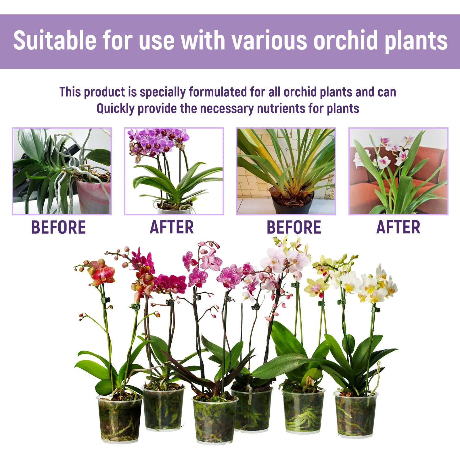 50ml Orchid Special Liquid Flo - Bonsai Soil Akadama 评论和价格