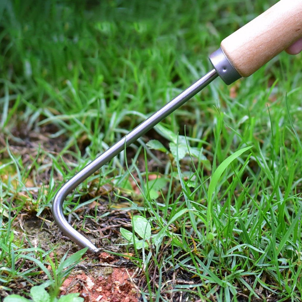 1PC Single Claw Hook Soil Loos - Root Hook Tool 评论和价格