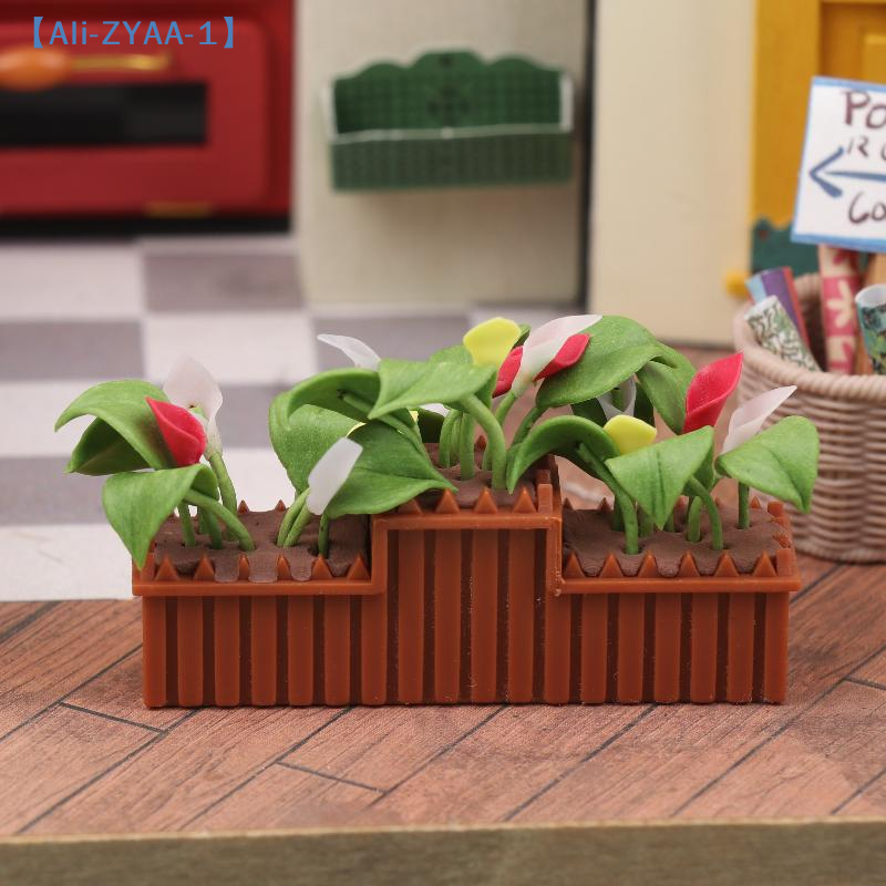 Miniature Calla Lily Potted Pl - Bonsai Garden House 评论和价格