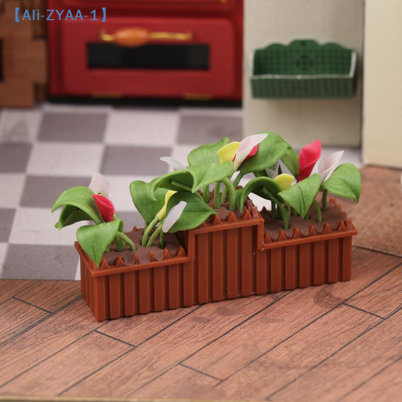 Miniature Calla Lily Potted Pl - Bonsai Garden House 评论和价格