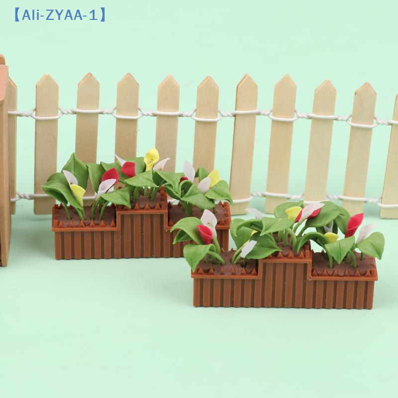 Miniature Calla Lily Potted Pl - Bonsai Garden House 评论和价格