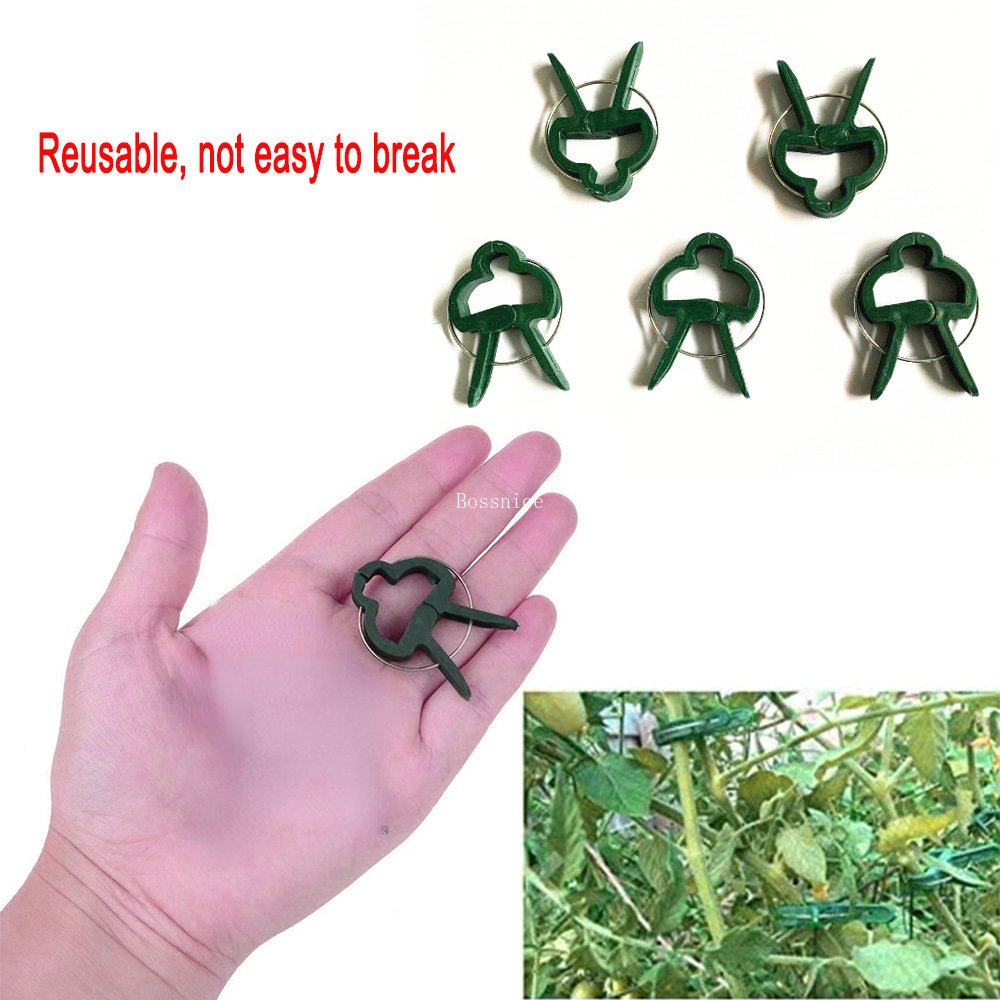 5/10Pcs Plant Support Clips fo - Bonsai Garden Tools 评论和价格