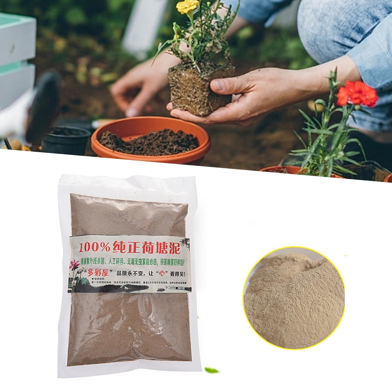 200g Natural Lotus Pond Mud Ga - Bonsai Soil Akadama 评论和价格
