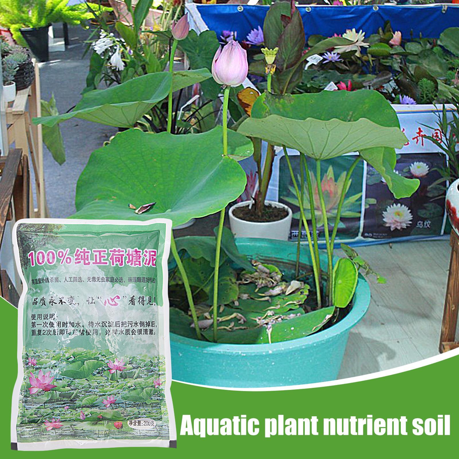 200g Natural Lotus Pond Mud Ga - Bonsai Soil Akadama 评论和价格