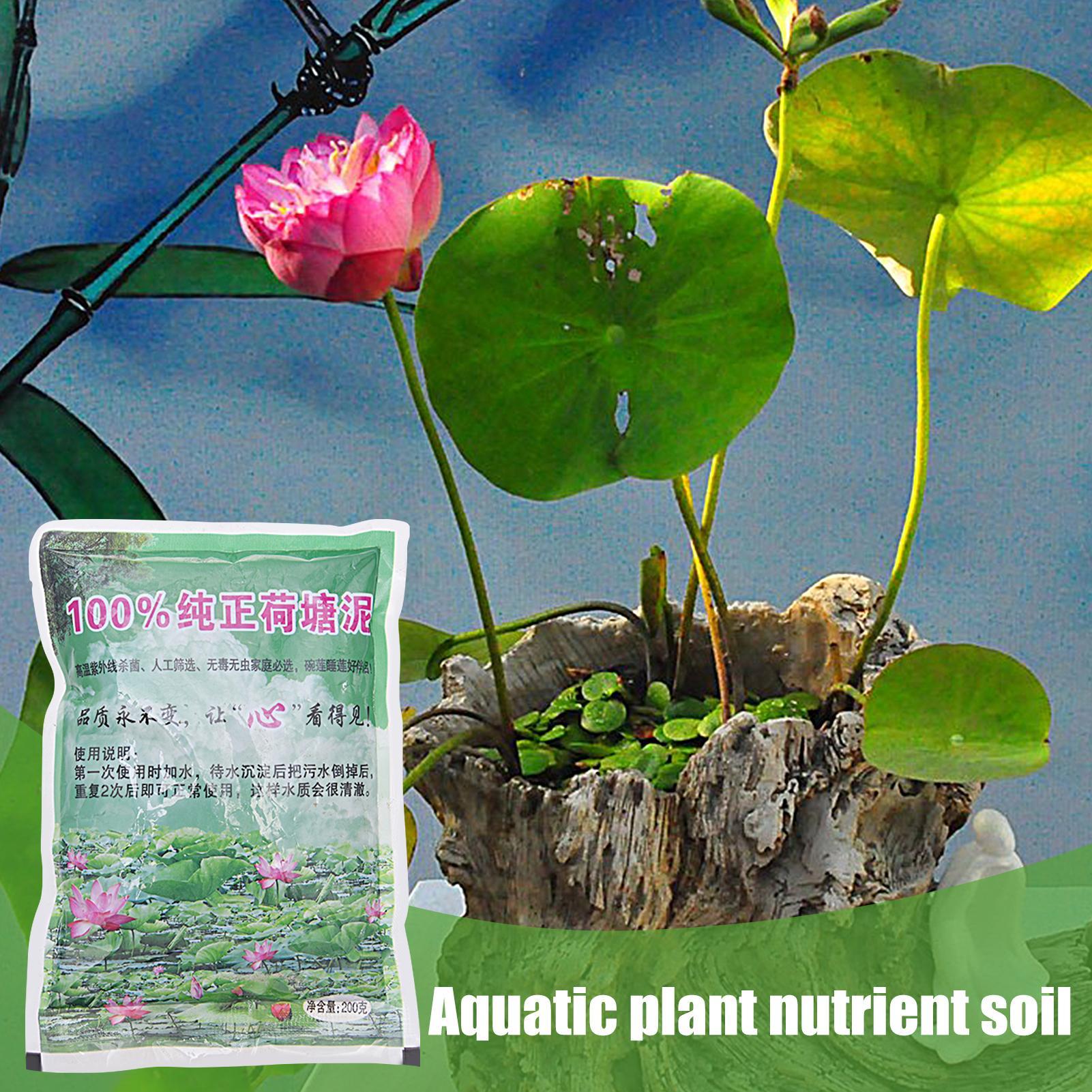 200g Natural Lotus Pond Mud Ga - Bonsai Soil Akadama 评论和价格