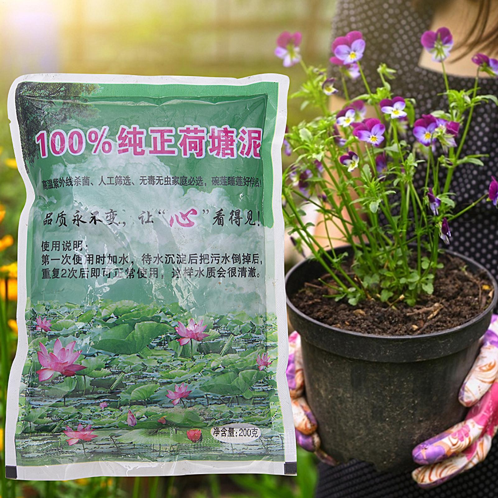 200g Natural Lotus Pond Mud Ga - Bonsai Soil Akadama 评论和价格