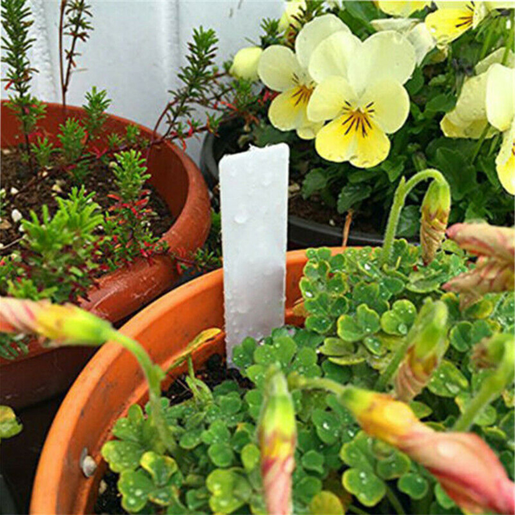100pcs Plants Labels Indoor Bo - Bonsai Garden Name 评论和价格