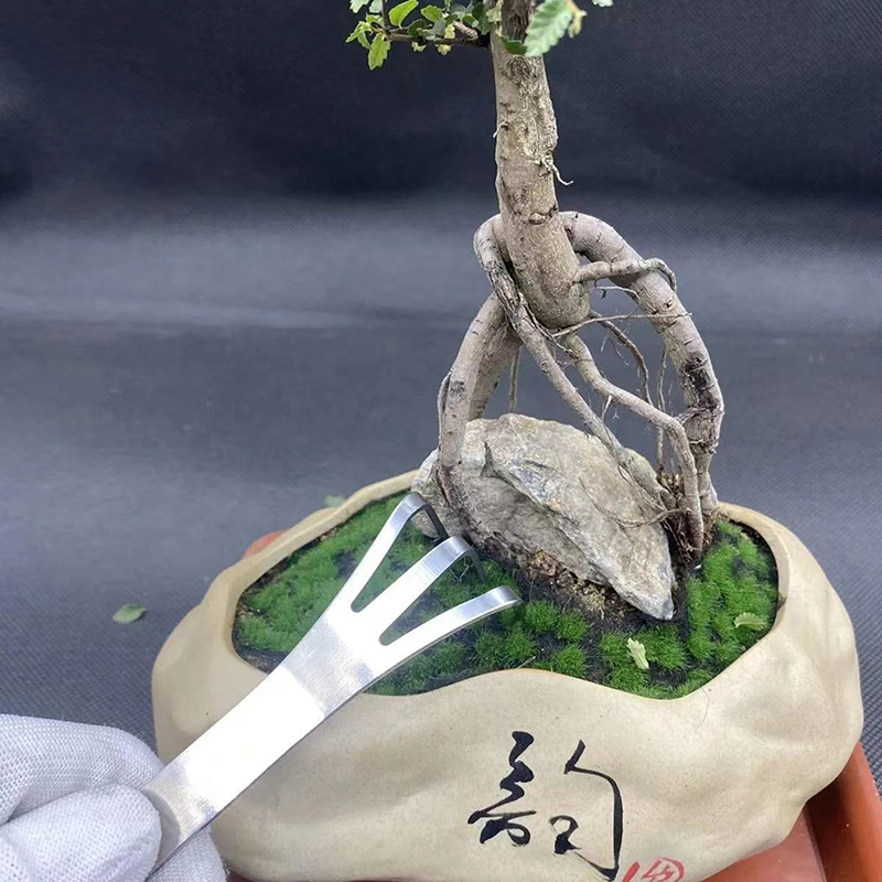 1Pc Stainless Steel Root Rake  - Bonsai Garden Tools 评论和价格