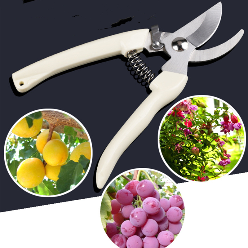 Pruner Orchard and The Garden  - Bonsai Gardening 评论和价格