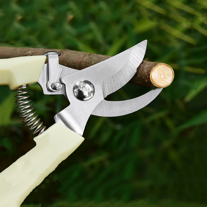 Pruner Orchard and The Garden  - Bonsai Gardening 评论和价格