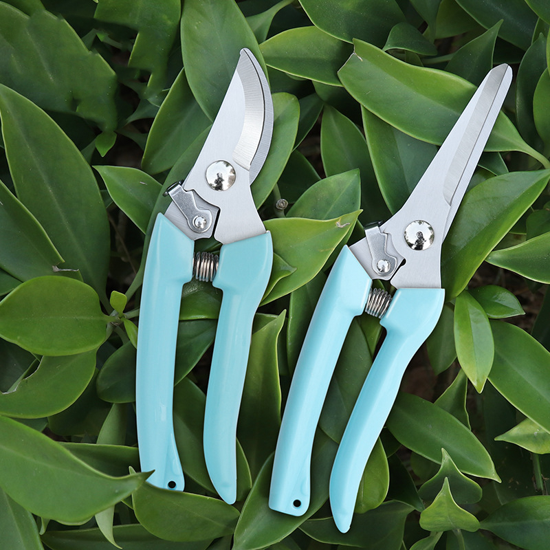 Pruner Orchard and The Garden  - Bonsai Gardening 评论和价格