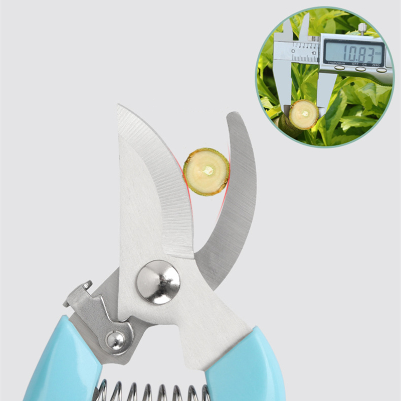 Pruner Orchard and The Garden  - Bonsai Gardening 评论和价格