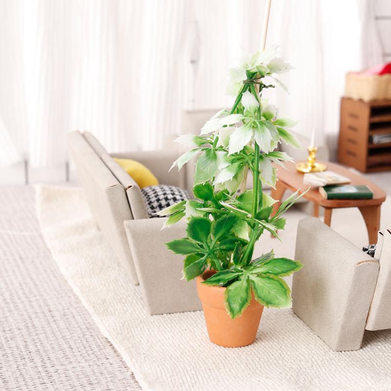 1/12 Dollhouse Simulation Gree - Bonsai Gardening 评论和价格