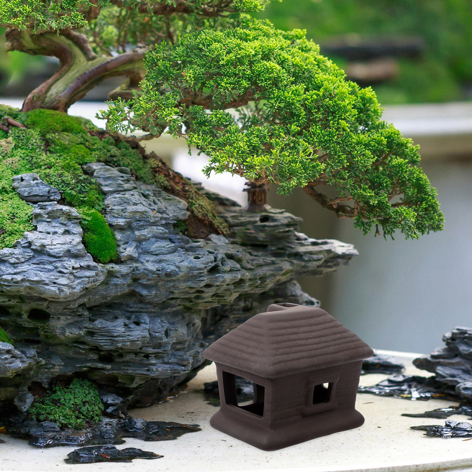 Miniature Ceramic House Decor  - Bonsai Garden House 评论和价格