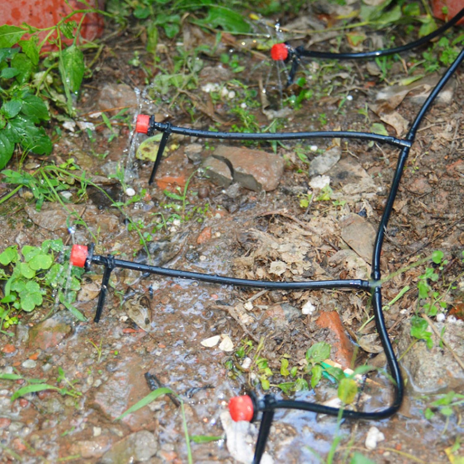 Garden Watering Hose Drip Irri - Bonsai Garden Youtube 评论和价格