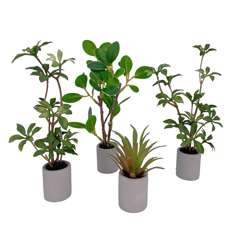 1:6 Dollhouse Miniature Potted - Bonsai Garden House 评论和价格