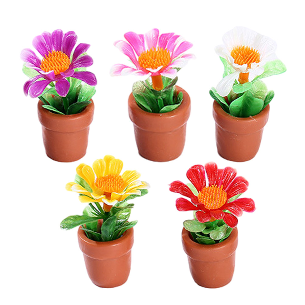 5Pcs Miniature Bonsai Plant De - Bonsai Garden House 评论和价格