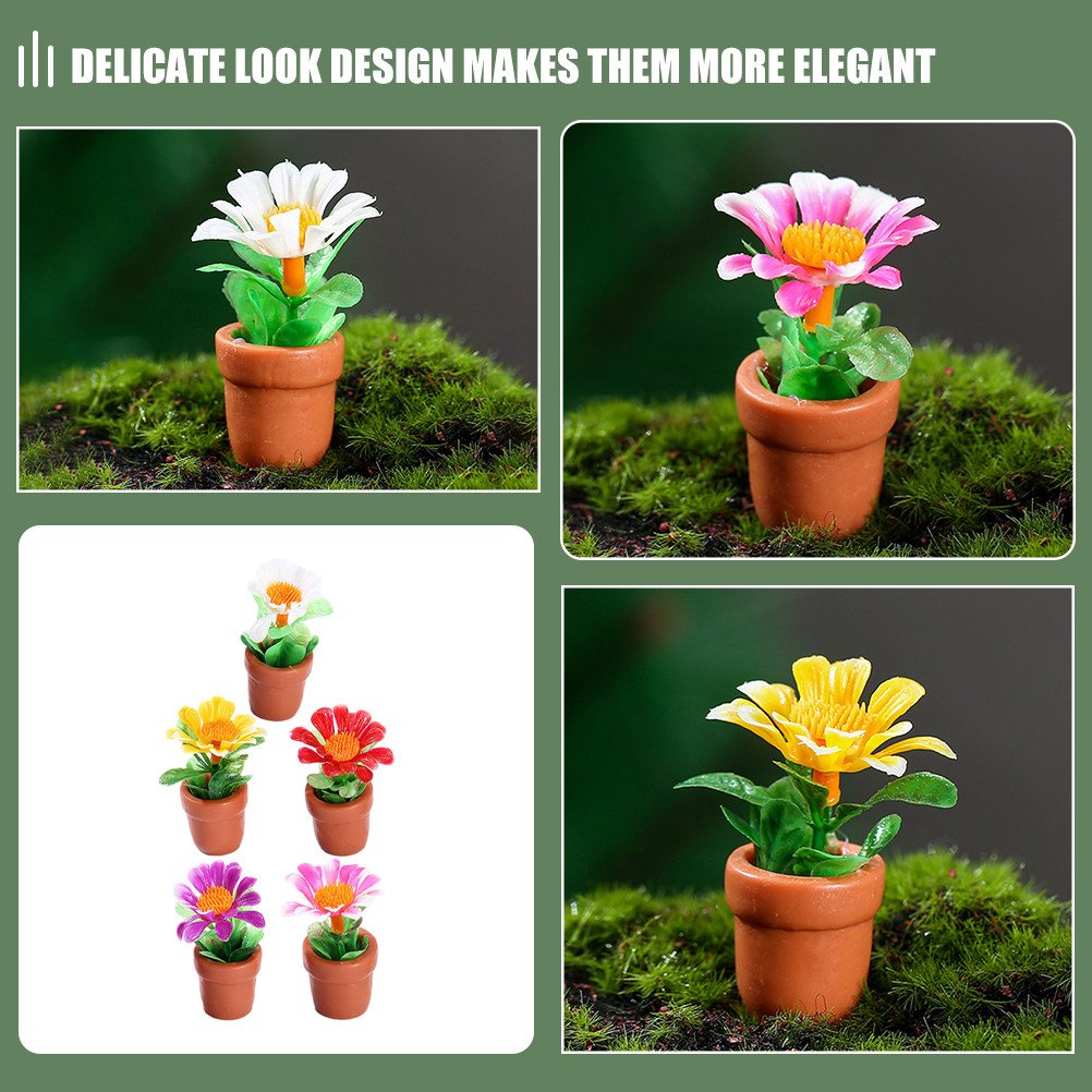 5Pcs Miniature Bonsai Plant De - Bonsai Garden House 评论和价格