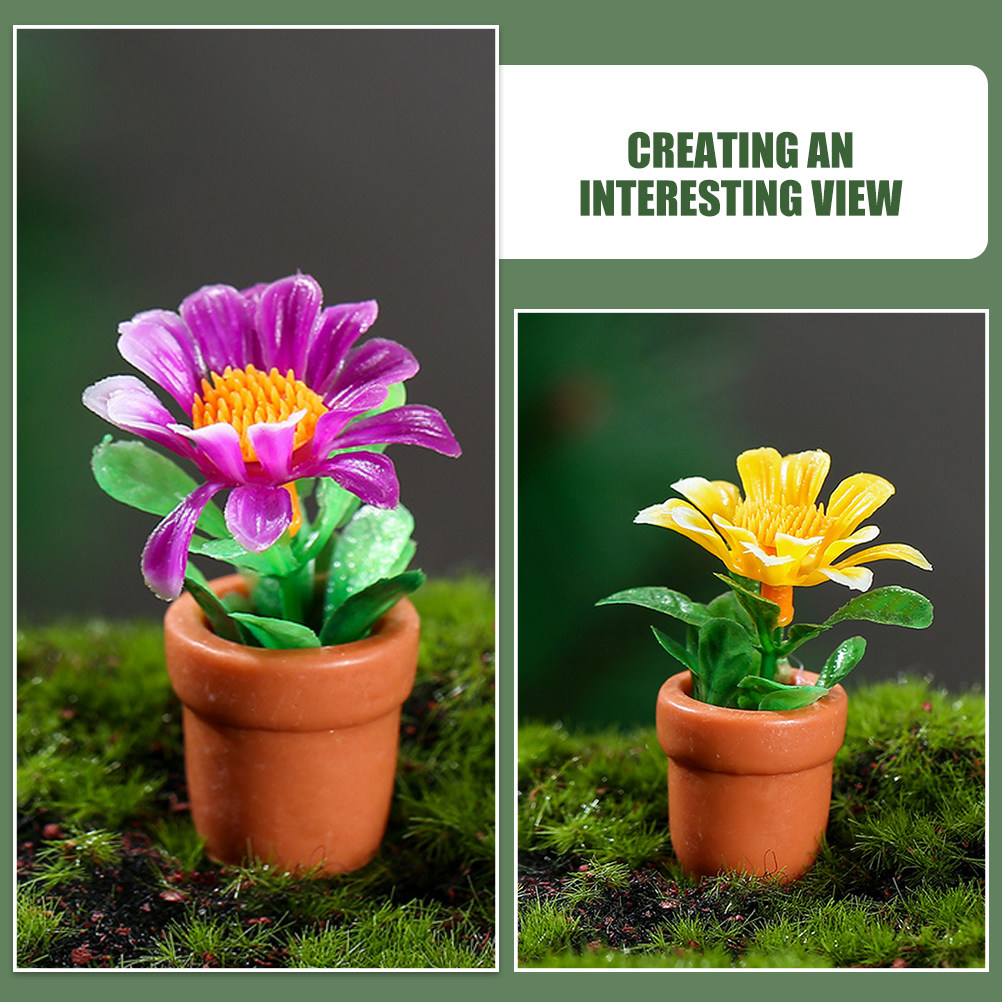 5Pcs Miniature Bonsai Plant De - Bonsai Garden House 评论和价格
