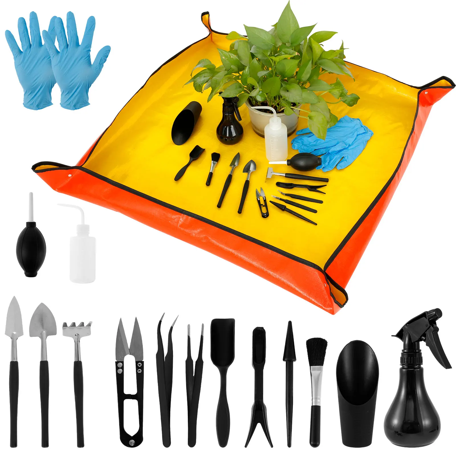 13/16Pcs Garden Succulent Plan - Bonsai Garden Tools 评论和价格