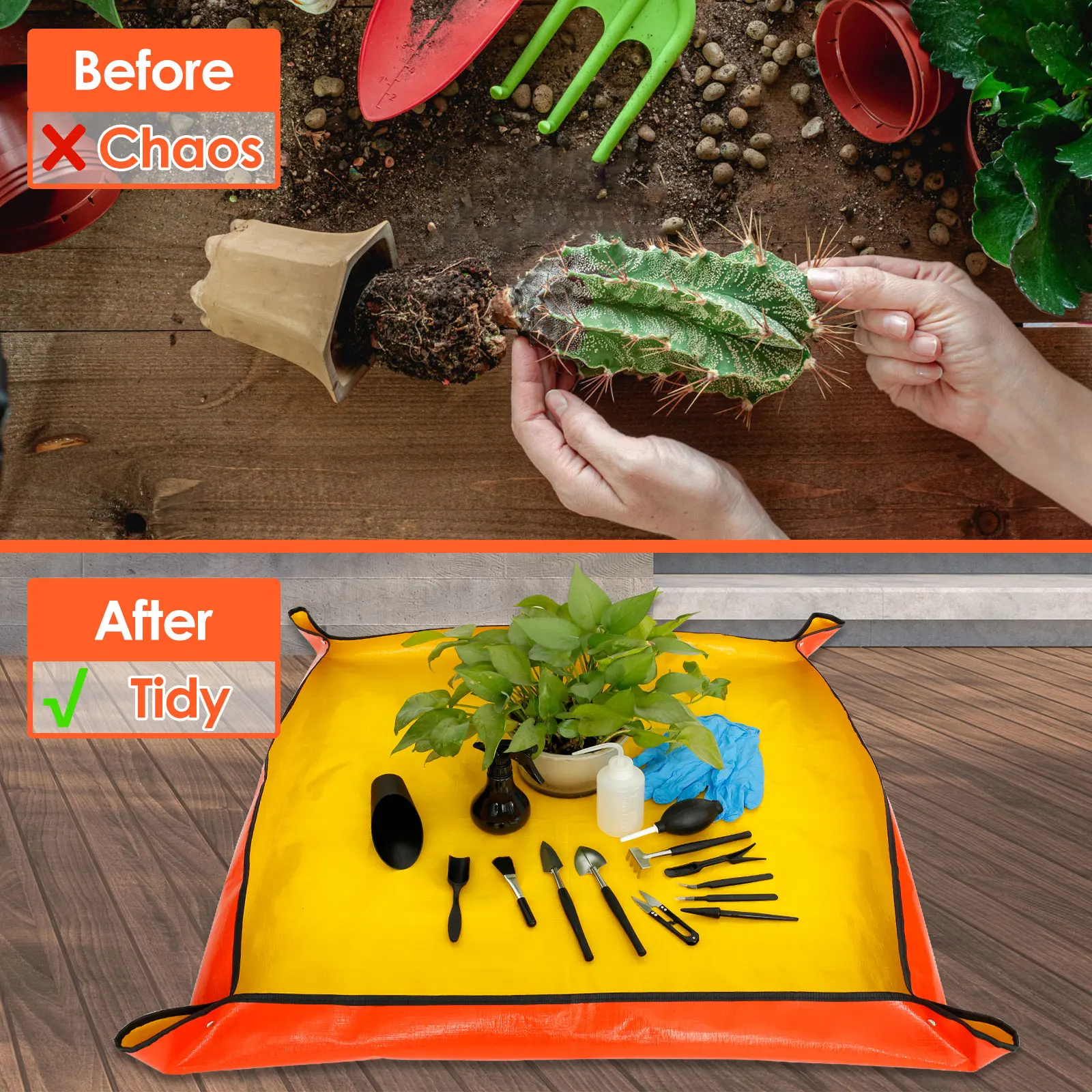 13/16Pcs Garden Succulent Plan - Bonsai Garden Tools 评论和价格