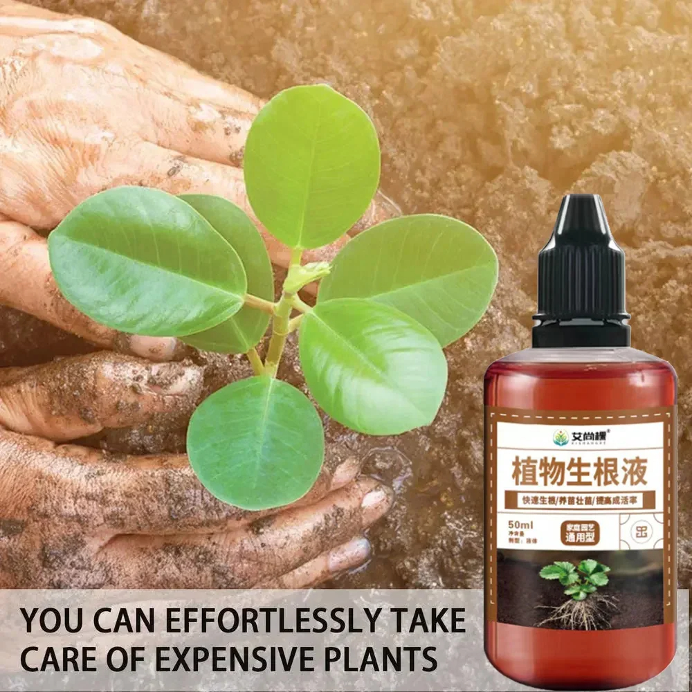 1Pcs Fast Rooting Stimulator P - Bonsai Soil Akadama 评论和价格