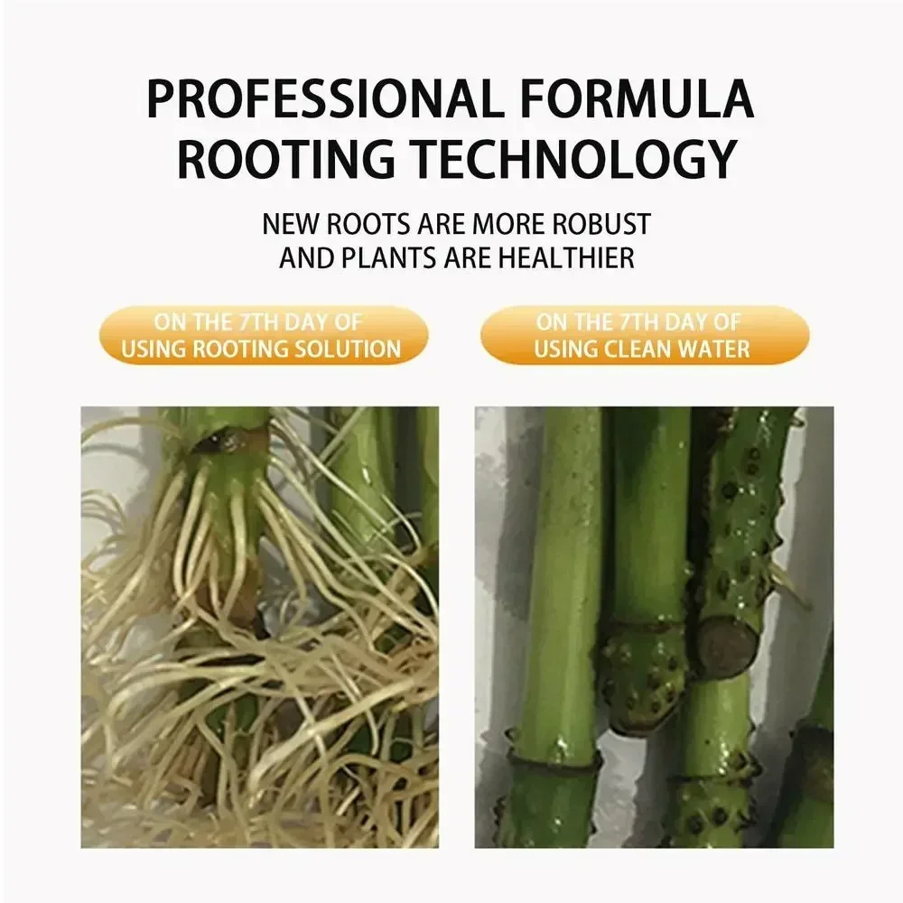 1Pcs Fast Rooting Stimulator P - Bonsai Soil Akadama 评论和价格