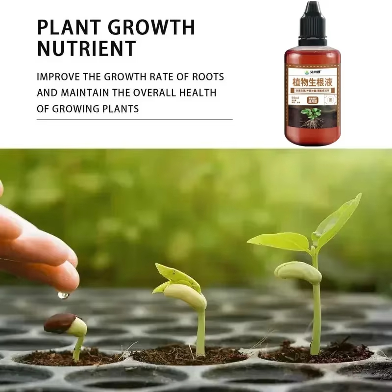 1Pcs Fast Rooting Stimulator P - Bonsai Soil Akadama 评论和价格