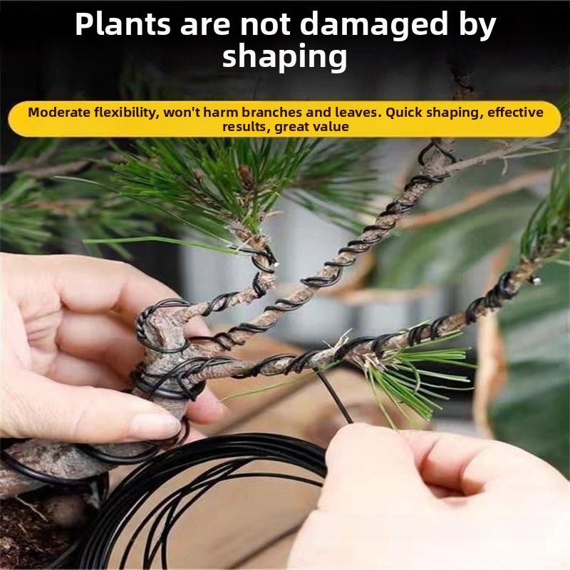 1.5MM Bonsai Wires Aluminum Bo - Bonsai Gardening 评论和价格