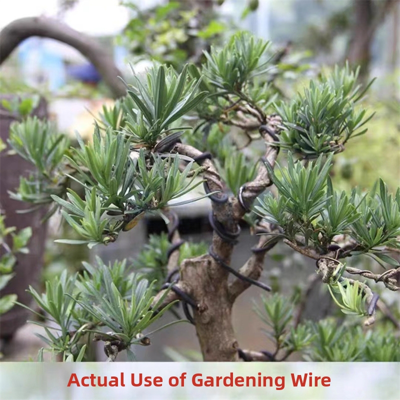 1.5MM Bonsai Wires Aluminum Bo - Bonsai Gardening 评论和价格