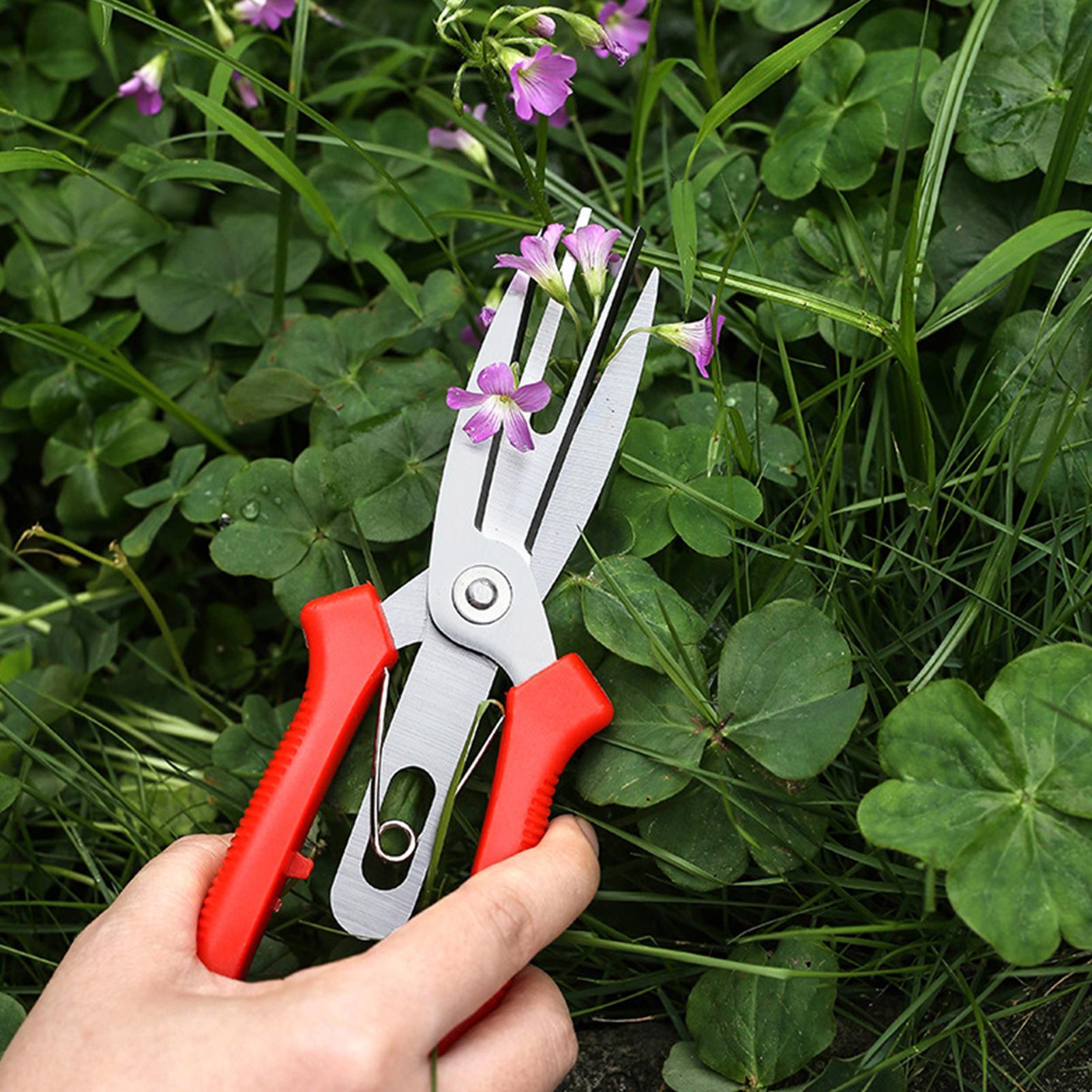 Garden Shears Stainless Steel  - Bonsai Gardening 评论和价格