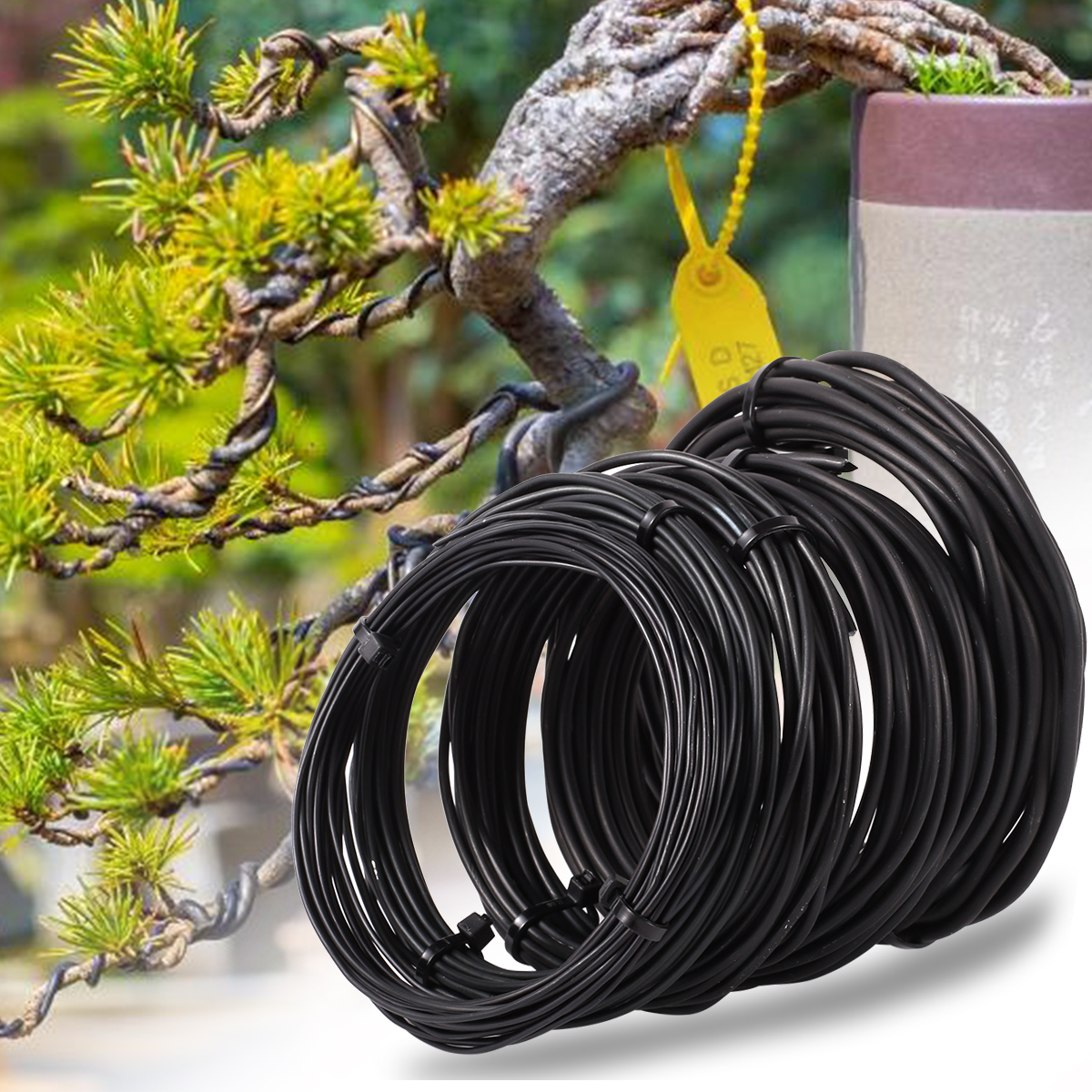 5/10m Bonsai Wire Plant Stand  - Bonsai Garden Tools 评论和价格