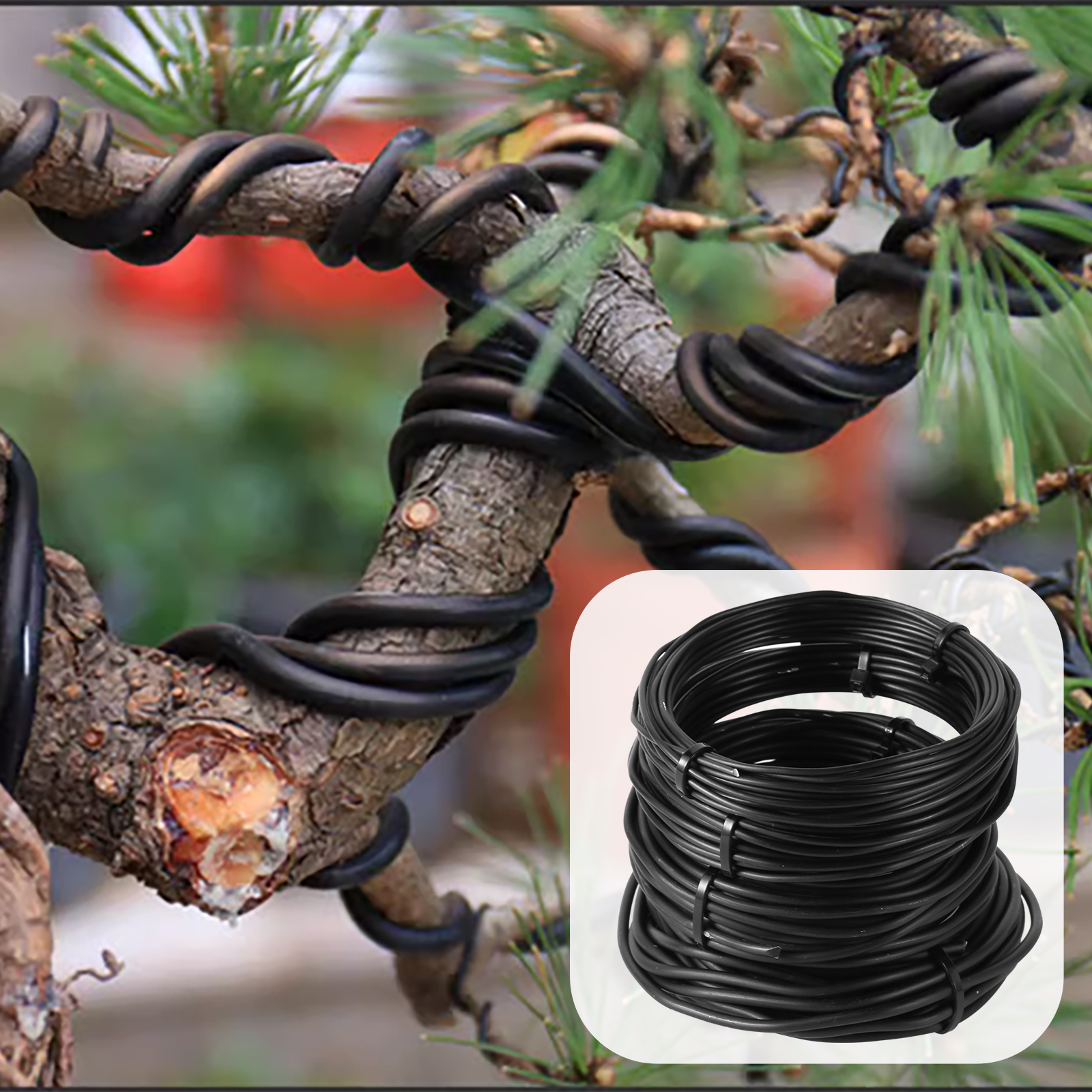5/10m Bonsai Wire Plant Stand  - Bonsai Garden Tools 评论和价格