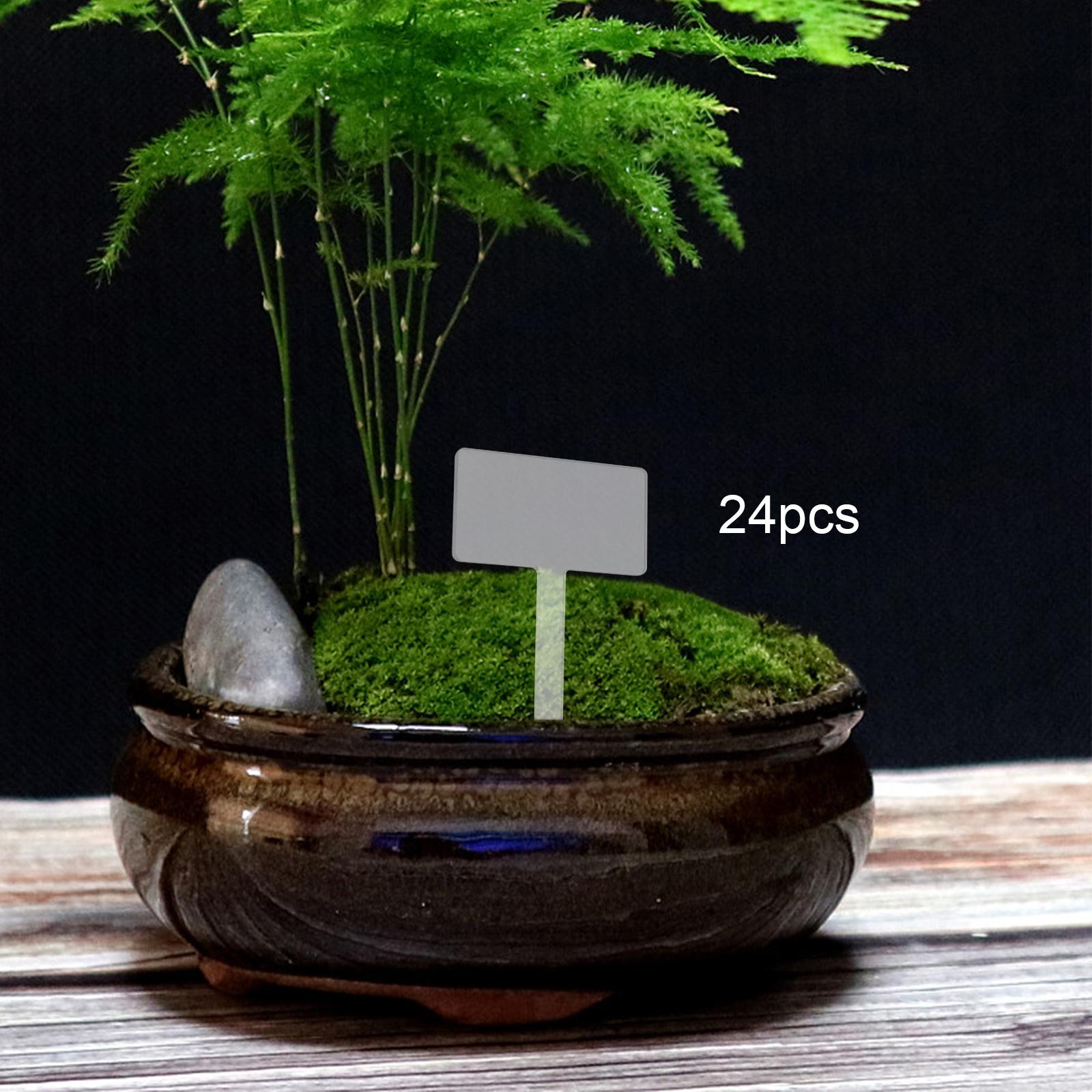 24x Acrylic Plant Tag Plant Na - Bonsai Garden Name 评论和价格