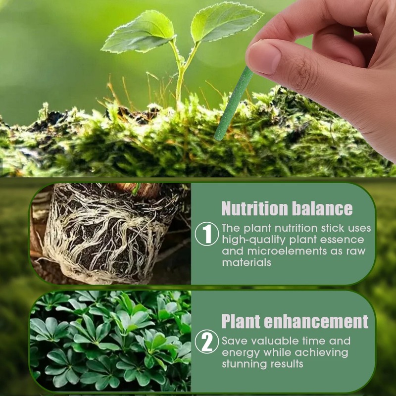 Plant Slow-release Sticks Nutr - Bonsai Soil Akadama 评论和价格