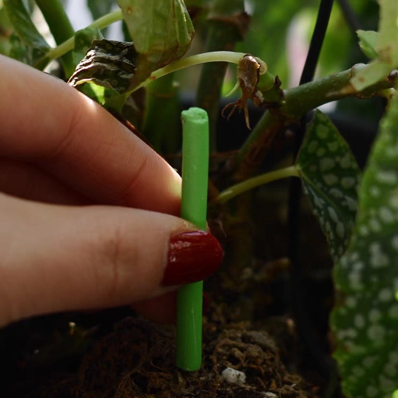 Plant Slow-release Sticks Nutr - Bonsai Soil Akadama 评论和价格