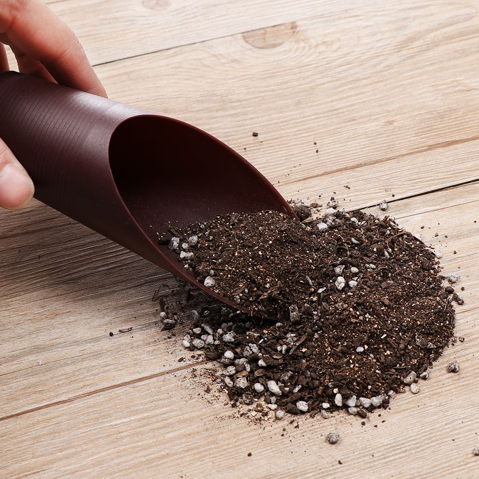 1PC Plastic Soil Shovel Cup Fo - Bonsai Garden Tools 评论和价格