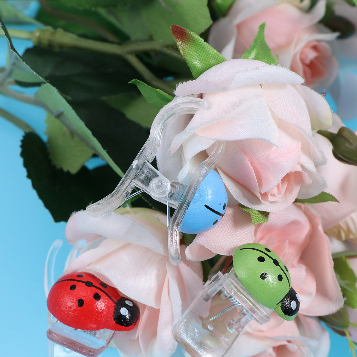 30Pcs Orchid Clips 6 Colors Mu - Bonsai Gardening 评论和价格